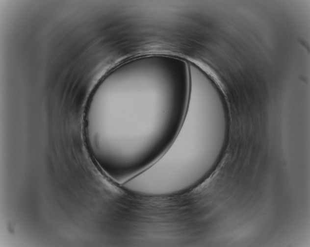 X0000091901333200709051056