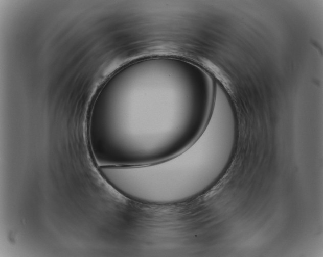 X0000091901334200709051056