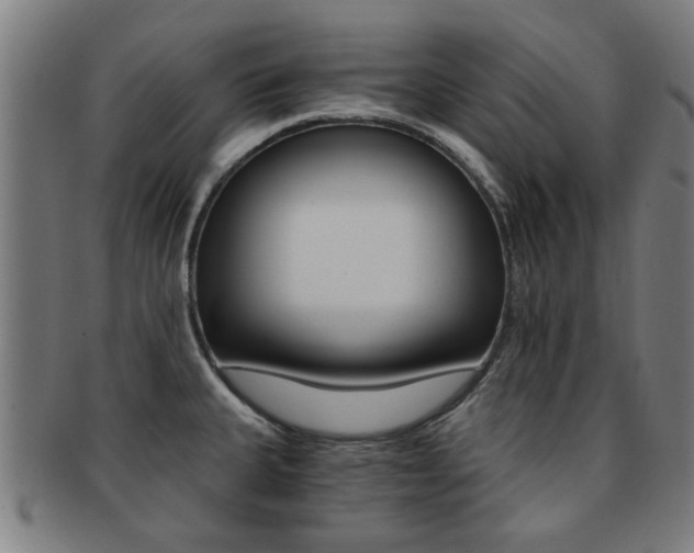 X0000091901335200709051056