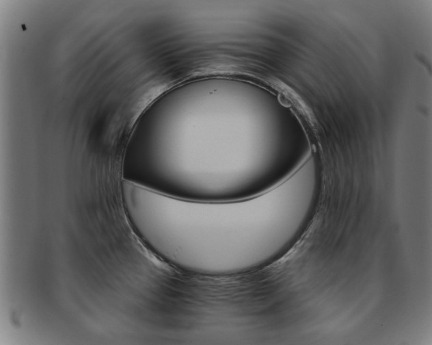 X0000091901337200709051056