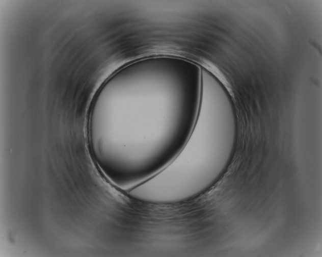 X0000091901339200709051056