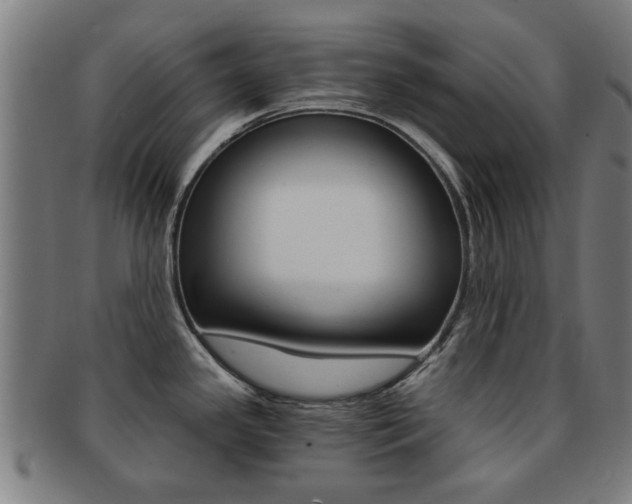 X0000091901341200709051056