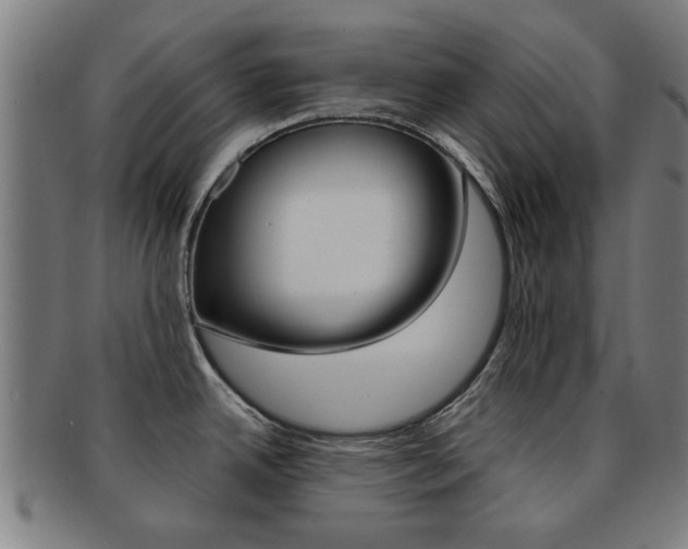 X0000091901342200709051056