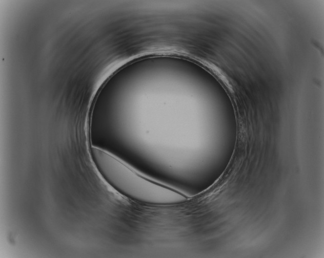 X0000091901343200709051056