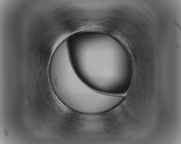 X0000091901344200709051056
