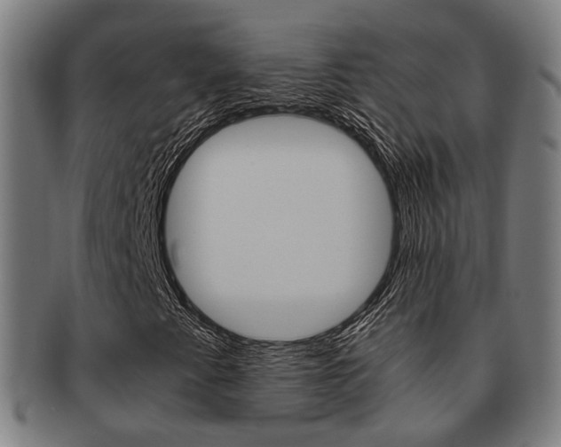 X0000091901345200709051056