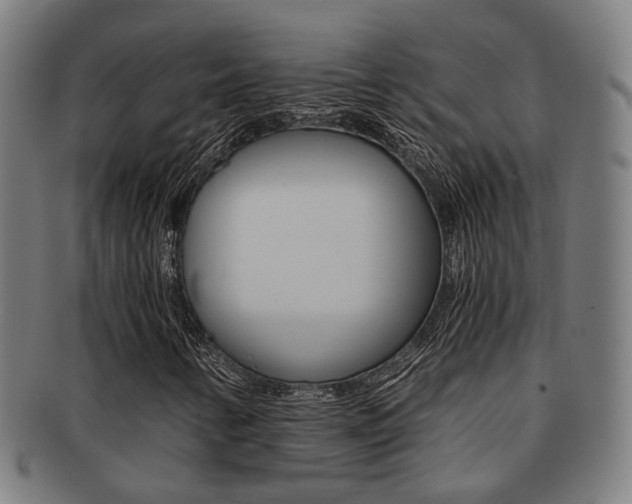 X0000091901346200709051056