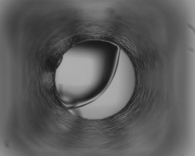 X0000091901347200709051056