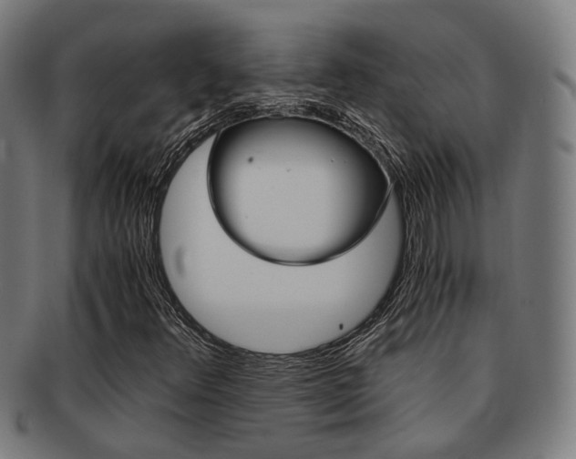 X0000091901348200709051056