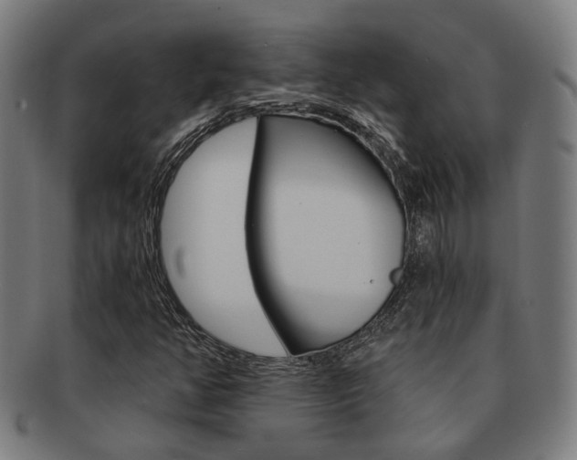 X0000091901350200709051056