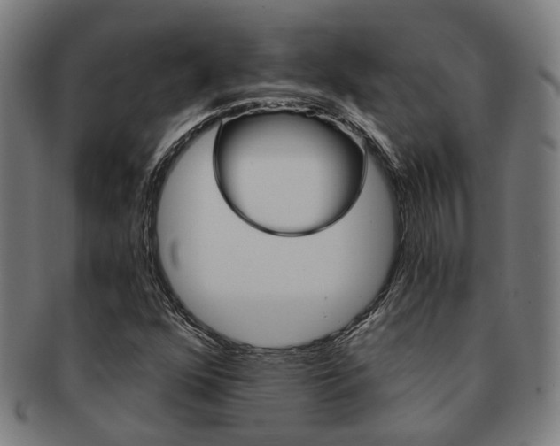 X0000091901352200709051056