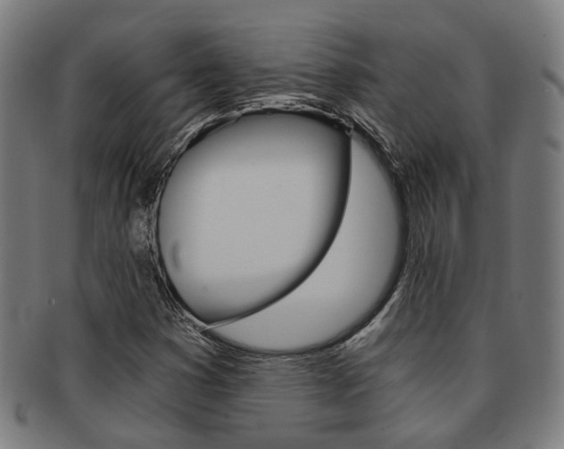 X0000091901353200709051056