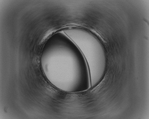 X0000091901355200709051056