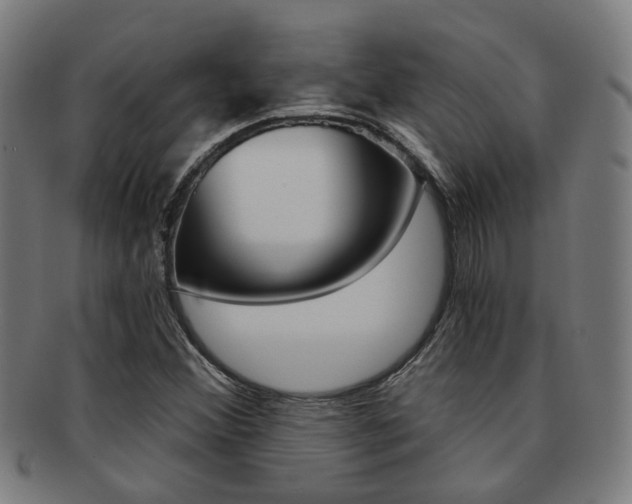 X0000091901356200709051056