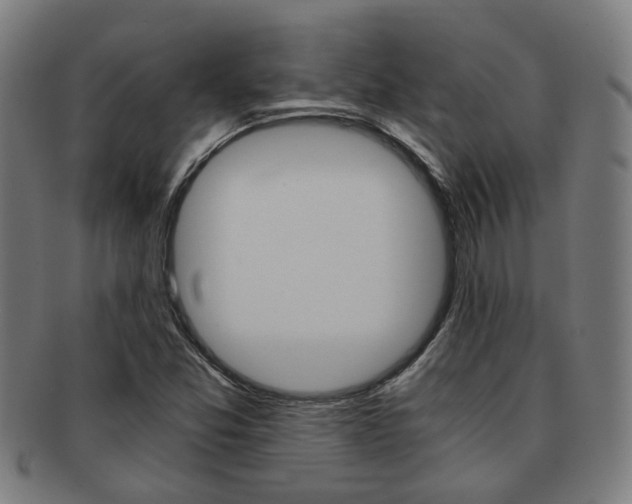X0000091901357200709051056