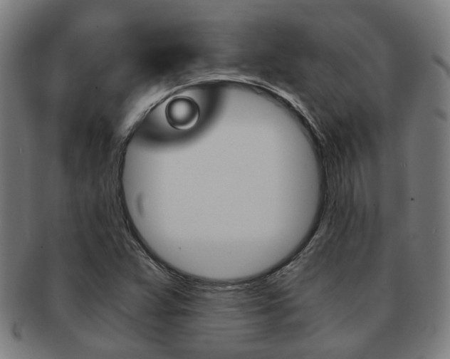 X0000091901359200709051055