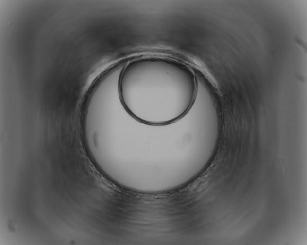 X0000091901360200709051055