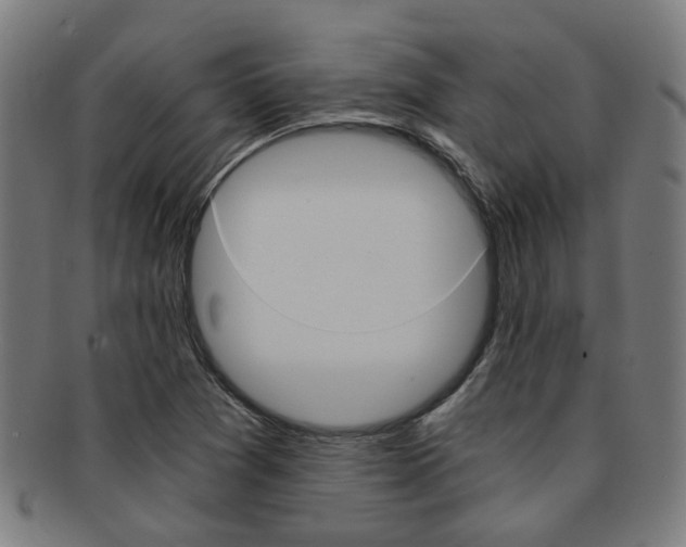 X0000091901361200709051055