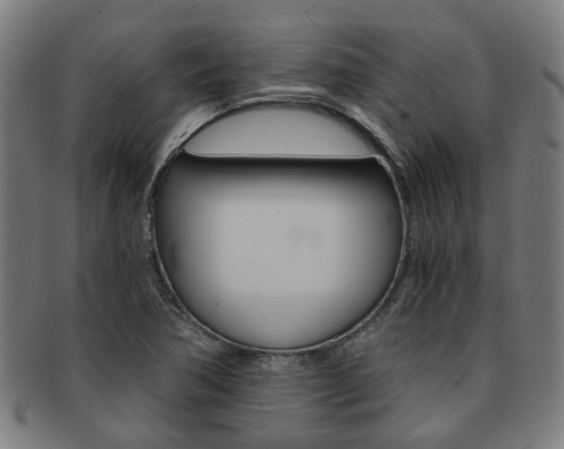 X0000091901362200709051055