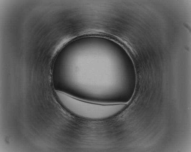 X0000091901363200709051055