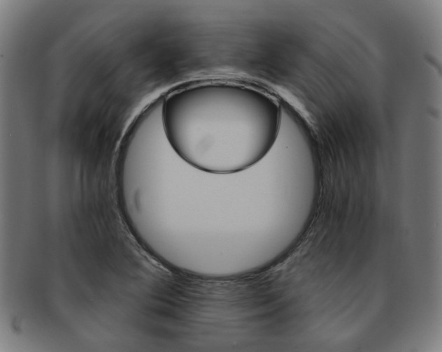 X0000091901364200709051055