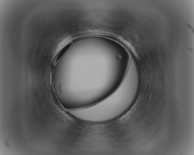 X0000091901365200709051055