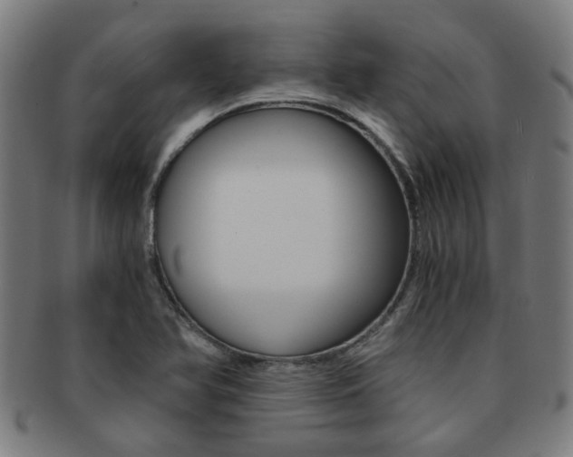 X0000091901366200709051055