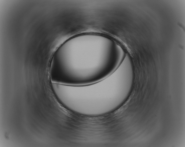 X0000091901367200709051055