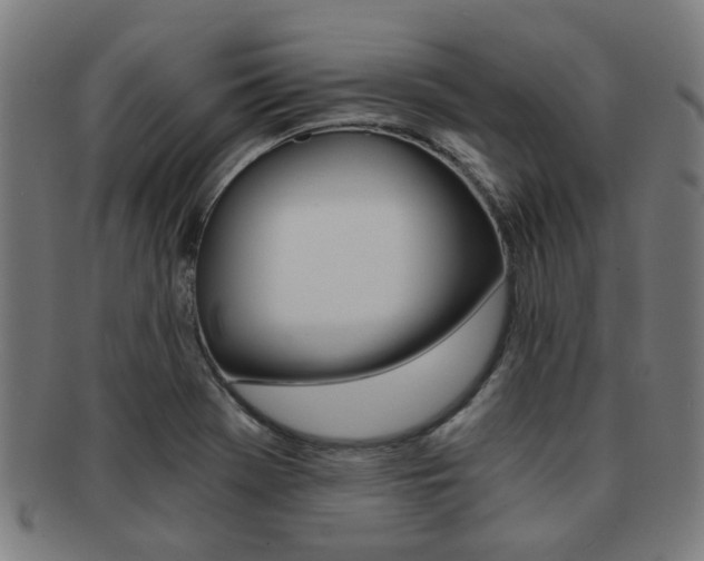 X0000091901369200709051055