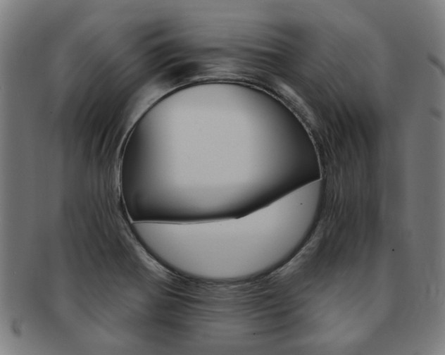 X0000091901370200709051055
