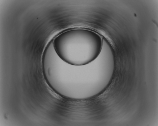 X0000091901372200709051055