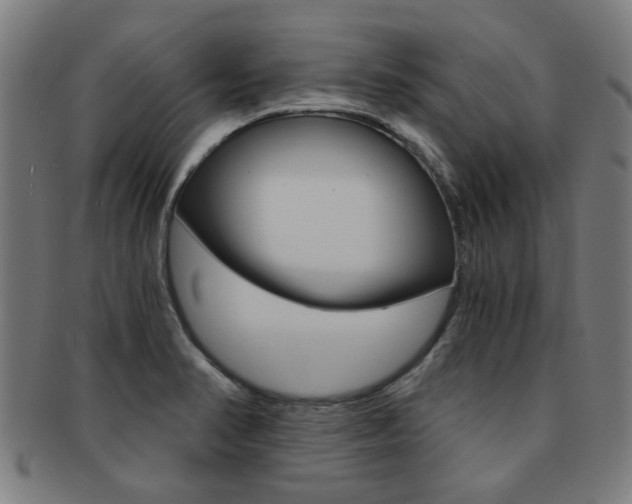 X0000091901374200709051055
