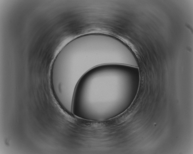 X0000091901375200709051055
