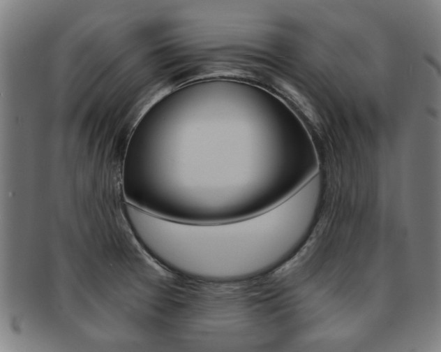 X0000091901377200709051055