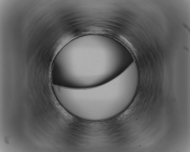 X0000091901378200709051055