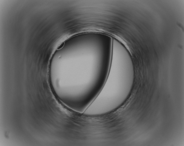 X0000091901379200709051055