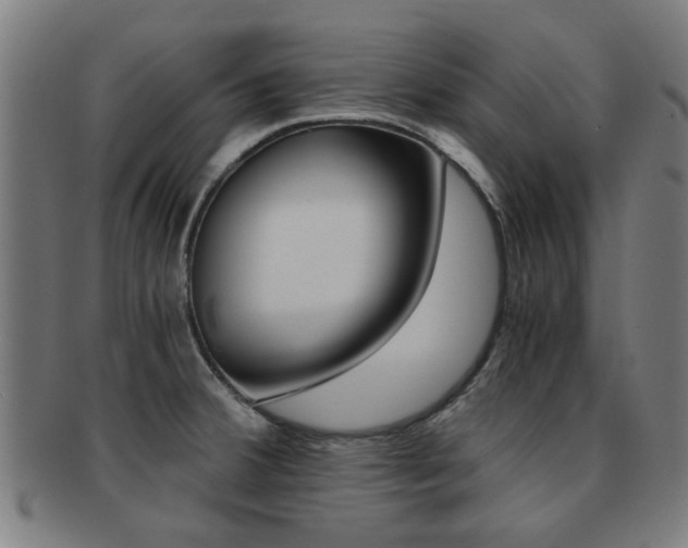 X0000091901380200709051055