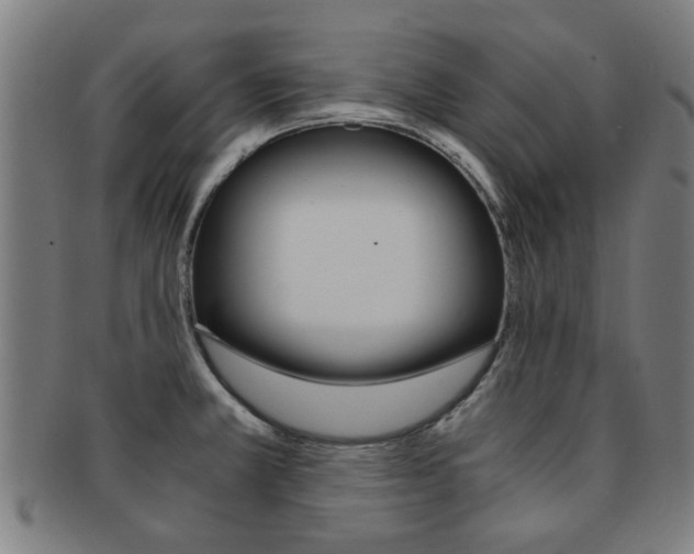 X0000091901381200709051055