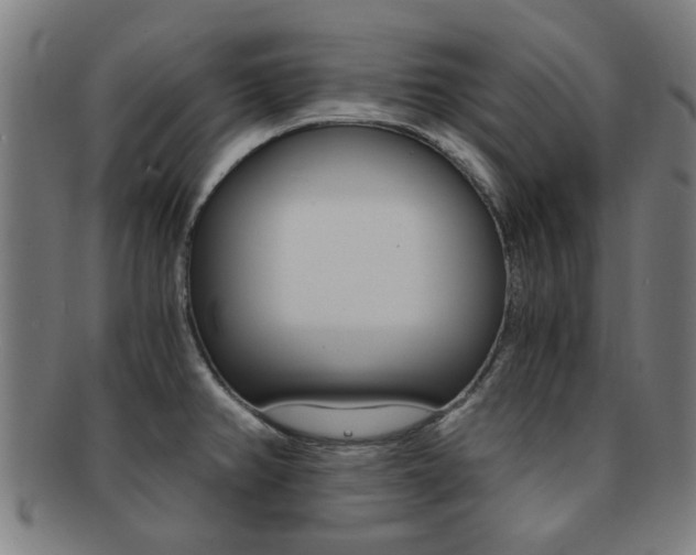 X0000091901382200709051055