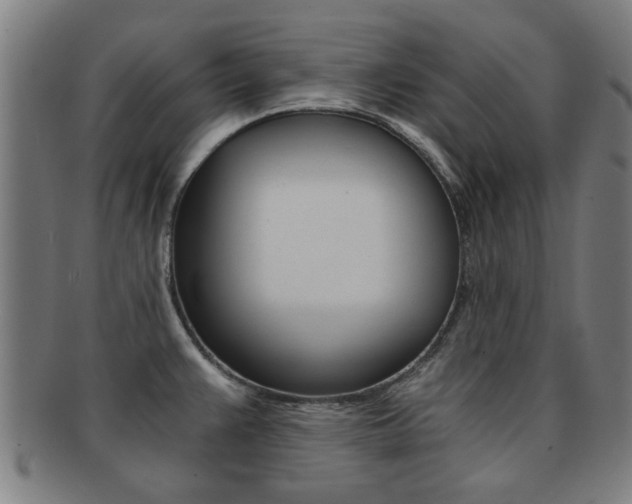 X0000091901383200709051055