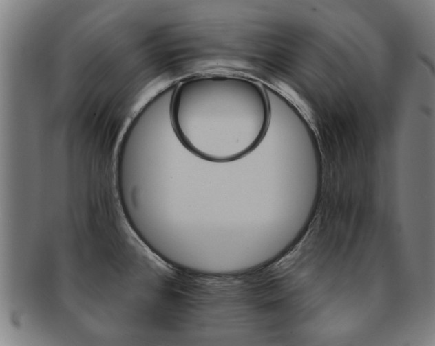 X0000091901384200709051055
