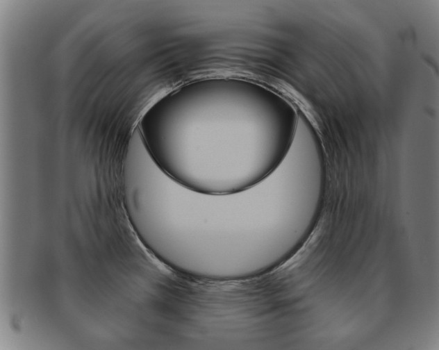 X0000091901385200709051055