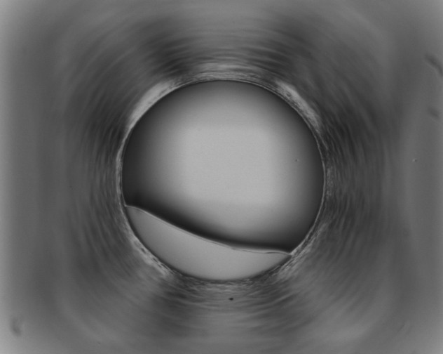 X0000091901386200709051055