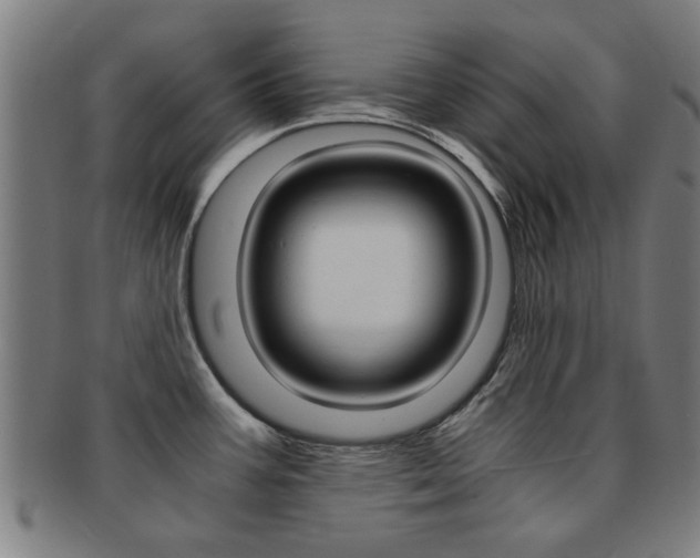 X0000091901387200709051055