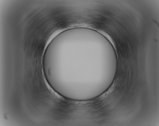 X0000091901389200709051055