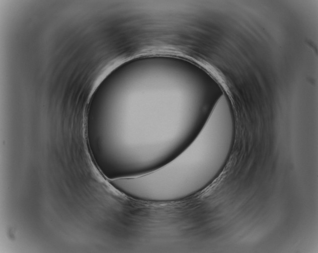 X0000091901390200709051055
