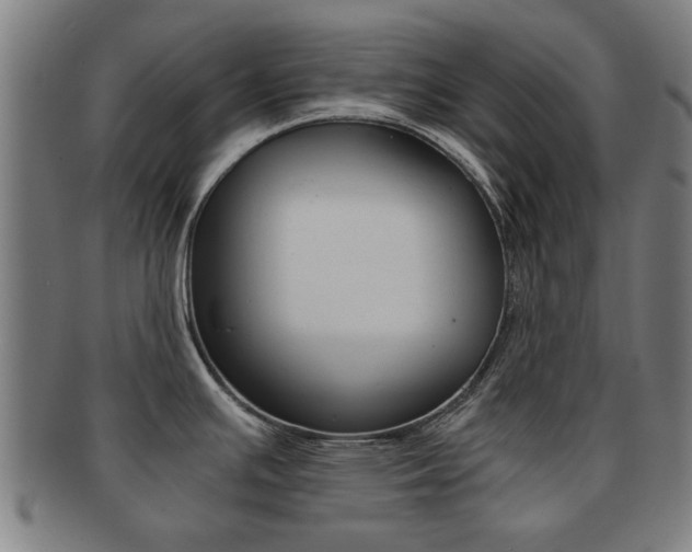 X0000091901391200709051055