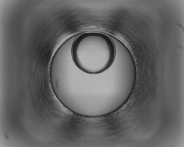 X0000091901392200709051055