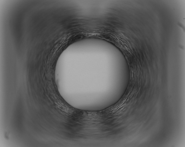 X0000091901393200709051054