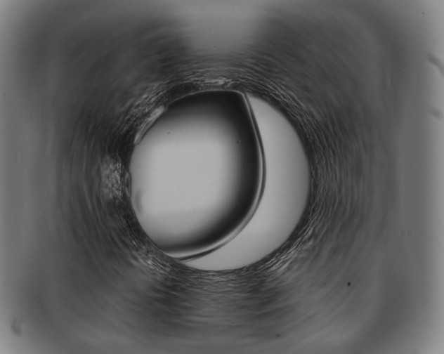 X0000091901394200709051054